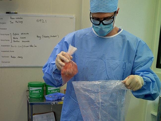 Surgeon Tim Furlong seals a kidney to get ready for transportation. Picture: Jay Town