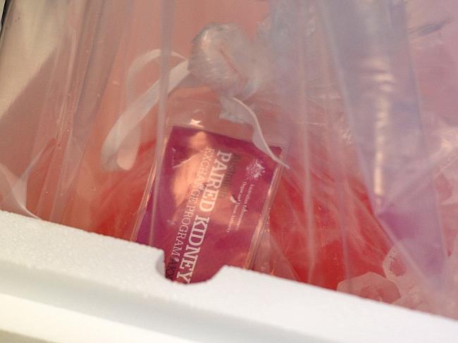 A donated kidney in a transport box with ice and preservation solution. Picture: Jay Town