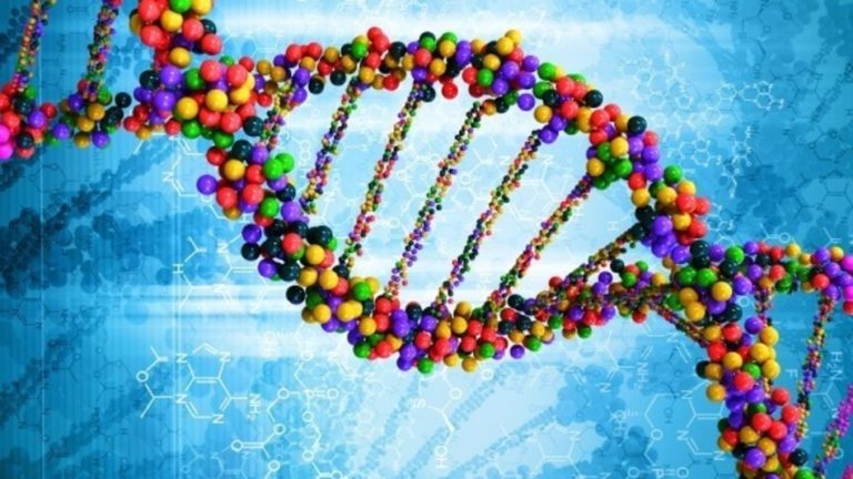 A HEALTHCARE blowout looms as more Australians pay to map their DNA and embark on preventive interventions