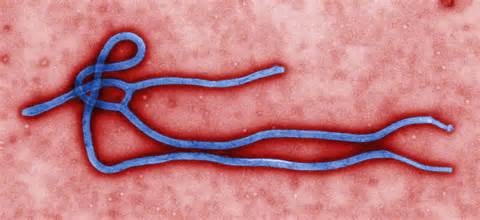 Why Ebola Is Winning?