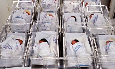 Babies in a maternity ward