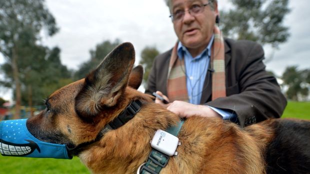 Leslie Posen and his dog Shrek.