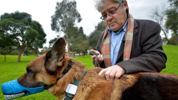 Leslie Posen and his dog Shrek.