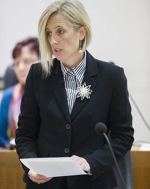 Chief Minister Katy Gallagher has expressed reservations about aspects of the plan. 