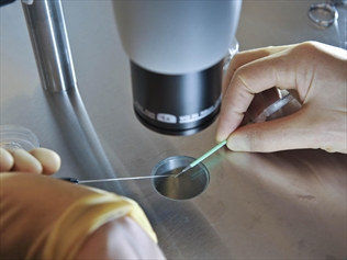 Fertility doctors warn women not to leave it too late to freeze eggs for IVF