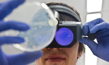 lab worker looking at petri dish