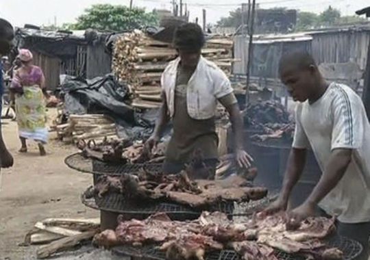 Bushmeat, which is widely consumed throughout Africa, is thought to be a primary route of animal-to-human transmission of the Ebola virus. 