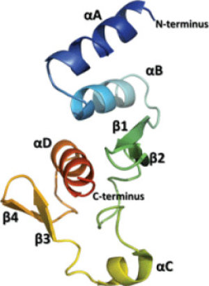 Protein secrets of Ebola virus