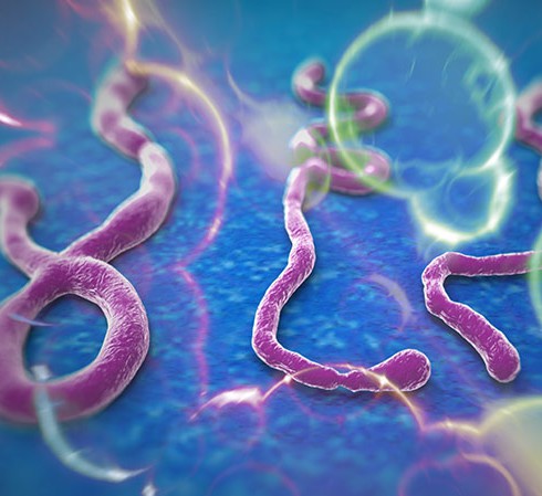 Scientists say developing drugs for the Ebola virus is a particularly difficult process given the numerous variations in strains, some of which affect treatment response. 