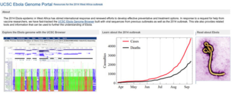 Ebola genome browser now online to aid researchers’ response to crisis