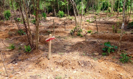 Javid Abdelmoneim's picture of a mass grave for Ebola victims in Sierra Leone.