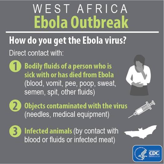 Though Ebola is a scary virus, it's not nearly as contagious as diseases like the flu.