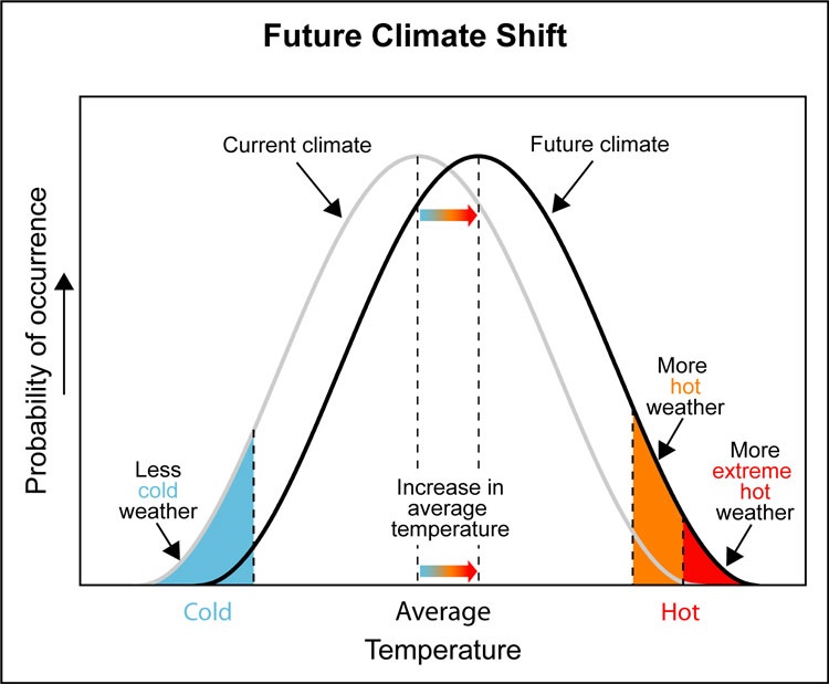 Above, a bell curve distribution of temperatures shows that a small shift in the mean global temperature increases the chances of extreme heat and related weather events.