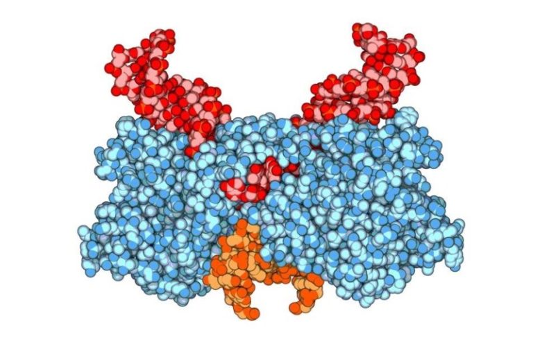 HIV virulence depends on where virus inserts itself in host DNA