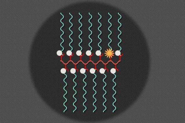 Two sensors in one: Nanoparticles that enable both MRI and fluorescent imaging could monitor cancer, other diseases