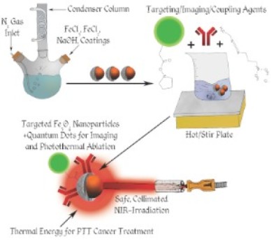 An inside job: Designer nanoparticles infiltrate, kill cancer cells from within