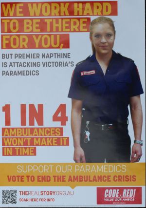 Ambos in hot water over ALP ads