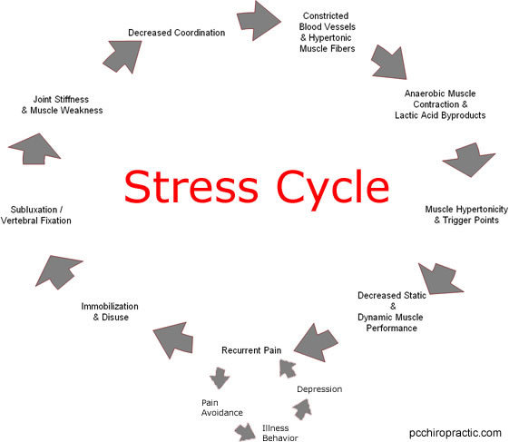 2014-10-31-causestress.jpg