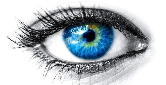 Give Thanks for Your Eyes: 7 Amazing Facts