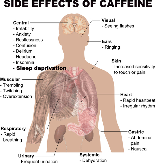 Caffeine: The Silent Killer of Success