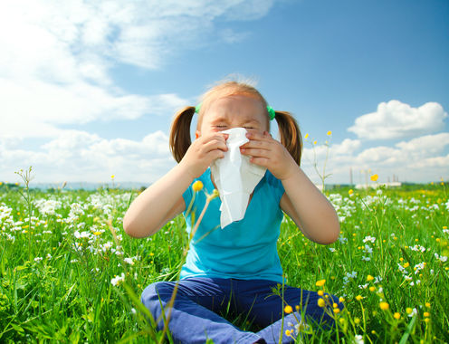 Future hay fever seasons will be worse thanks to climate change