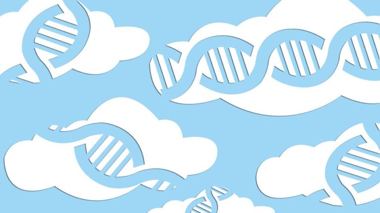 Google Genomics is a cloud service just for DNA data