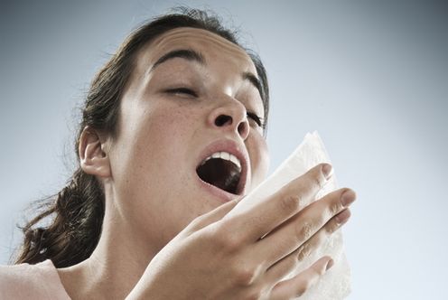 Hay fever survival guide: why you have it and how to treat it