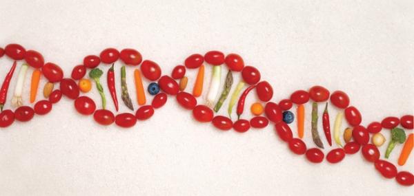 STUDY: Effects Of Poor Eating Habits Remain Embedded In DNA Even After Diet Is Improved