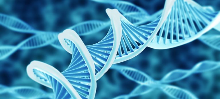 STUDY: Autism Genes Also Linked To Higher Intelligence