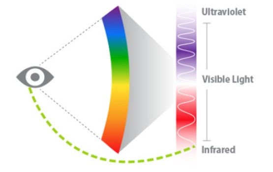 Human eye can see ‘invisible’ infrared light