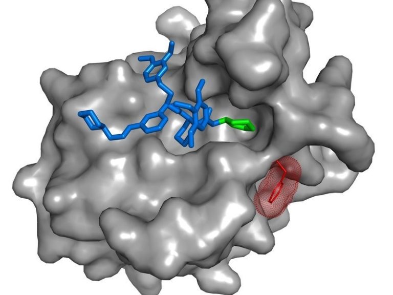 Tailor-made pharmaceuticals as basis for novel antidepressants