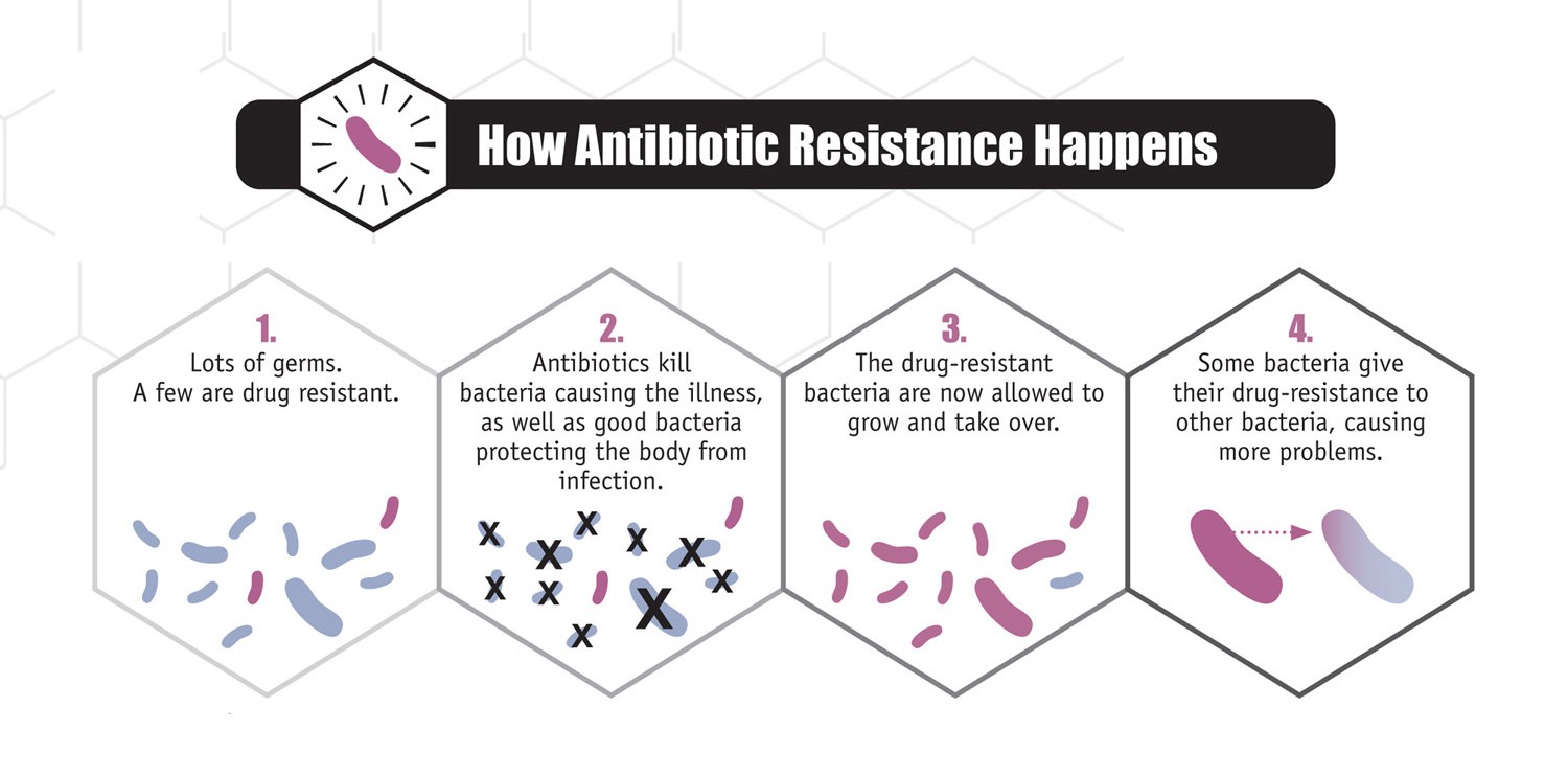 antibiotic resistance 16