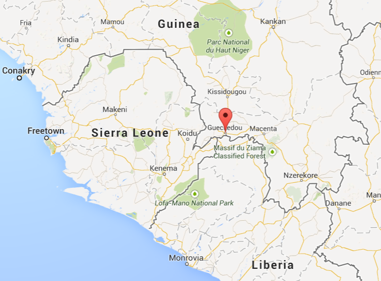 The 2014 outbreak emerged near Guinea's border with Sierra Leone and Liberia, a highly mobile area where the virus was quickly dispersed. 