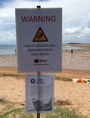 Redland City Council erected signs at Wellington Point alerting swimmers to the venomous Irukandji Morbakka fenneri, after a six-year-old boy was stung and suffered serious welts.