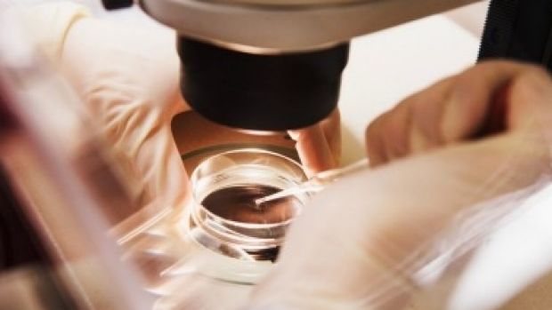 NSW Health dumps 10-year limit on frozen embryos