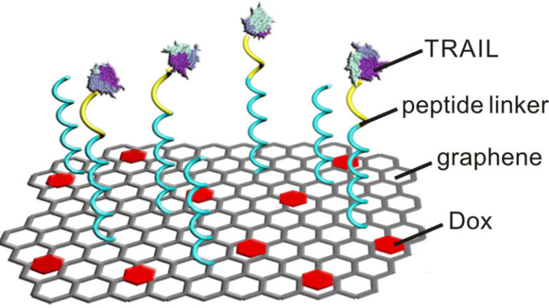 ‘Flying carpet’ technique uses graphene to deliver one-two punch of anticancer drugs