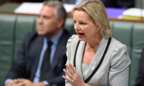 Assistant Education minister Sussan Ley speaks to the matter of public importance on childcare.