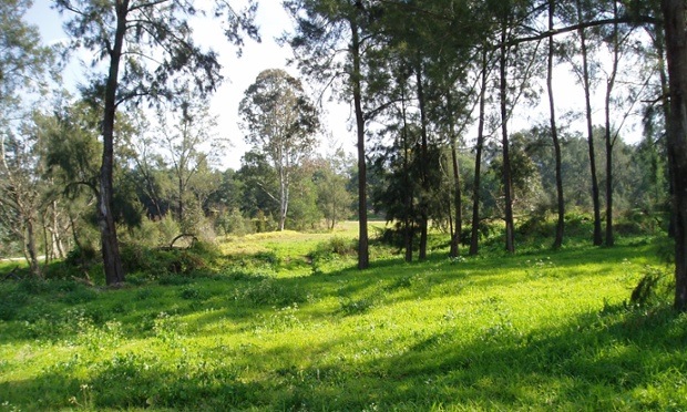 Yarramundi