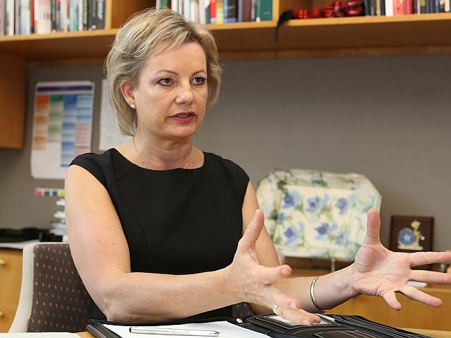 Advice ... PHIAC advises the Federal Health Minister, currently Sussan Ley, on annual pre