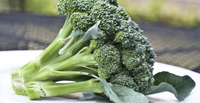 ‘Beyond Prevention’: Scientists Say A Chemical Found In Broccoli Could Help Fight Advanced Cancer