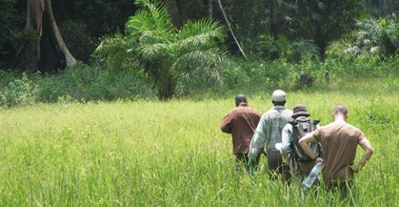 Scientists Trace Source Of Ebola Outbreak To A Bat Colony In Guinea