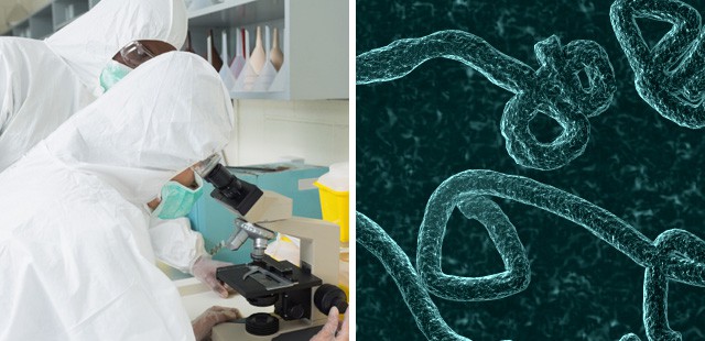 Ebola Virus Has Mutated, Scientists Warn