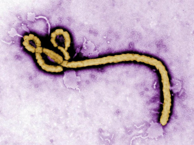 Experts say it's unlikely that ISIS has the expertise to weaponize Ebola, but isolated suicide attacks are a concern in Africa and the middle east.