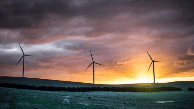 The peak health body's wind farm findings have been influenced by outside forces.