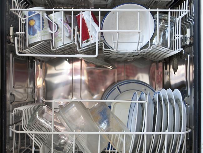 Is your dishwasher making you sick?