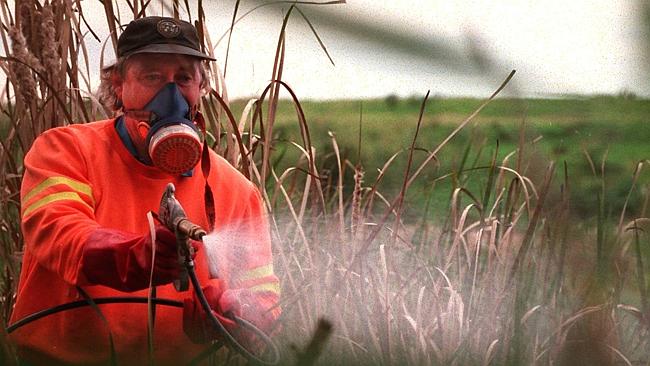 FILE: Steve Cooper from Health Department sprays for mosquito larvae control. Ross River 