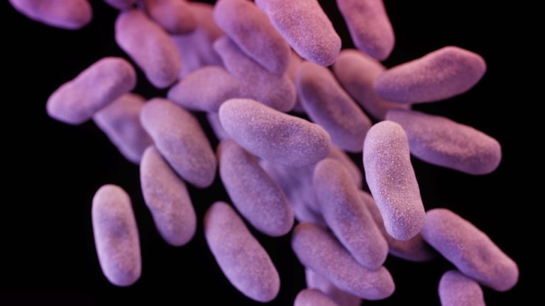 ‘Superbug’ outbreak at LA hospital linked to 2 deaths