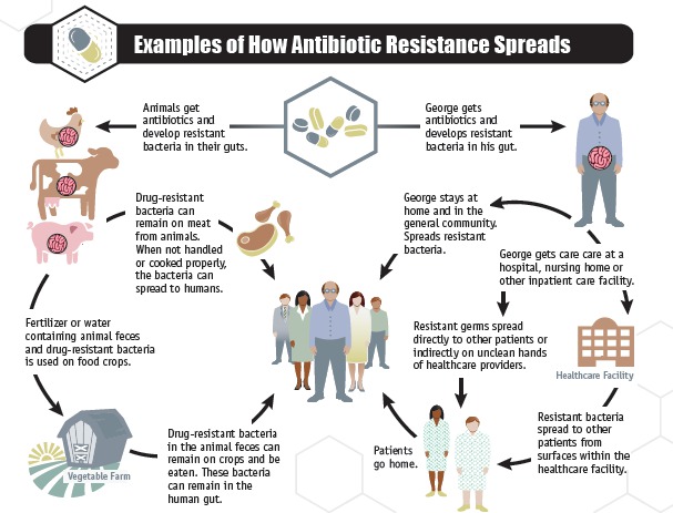 drug resistance figure 2