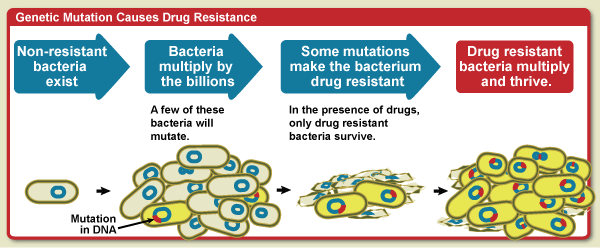 drug resistance figure_NIAD