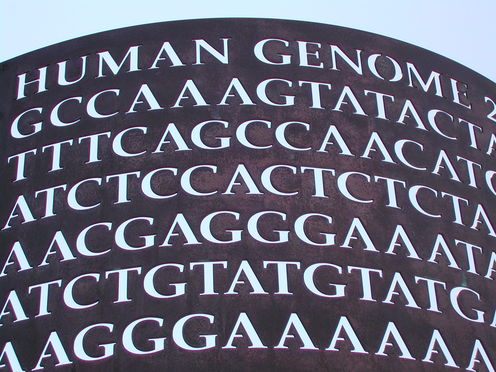 Beyond genetics: illuminating the epigenome